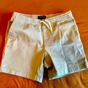 Pacsun shorts , medium size , wore only twice , in excellent condition .